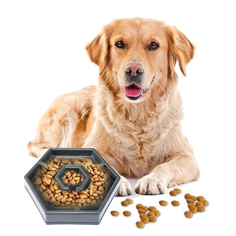 Umiwe Slow Feeder Dog Bowl Non Slip Puzzle Bowl Pet Fun Feeder