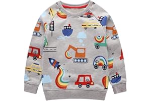 BTGIXSF Little Boys Cotton Crewneck Cartoon Long Sleeve Pullover Sweatshirts Tops