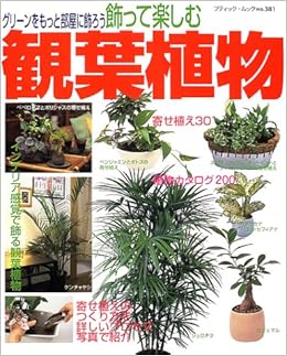 飾って楽しむ観葉植物 グリーンをもっと部屋に飾ろう ブティック ムック No 381 本 通販 Amazon