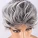 WeKen Women's Cosplay Wig Short Curly Synthetic Hair Silver Gray