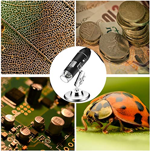 Digital USB Microscope 40X to 1000X, 8 LED Magnification Mini Handheld Endoscope Camera with Stand, Compatible with Windows 7 8 10 Android Mac Linux