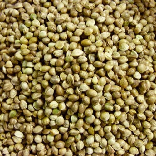Norfolk Feeds Hemp Seed 2kg - Fishing Bait, Wild Bird Food