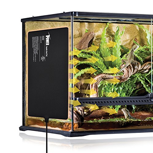 6 iPower+7+Inch+Reptile+Terrarium+Animals