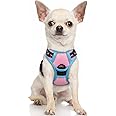 rabbitgoo Dog Harness No Pull with 2 Leash Clips, Adjustable Soft Padded, Reflective Oxford No Choke Pet Vest with Easy Control Handle for Puppy, Pink & Blue, XS