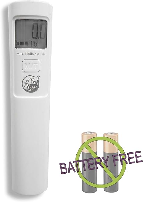 best luggage scales uk