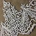 Bridal Veil Lace Trim Gorgeous Elegant Alencon Embroidered Corded Sequined Mesh, 8
