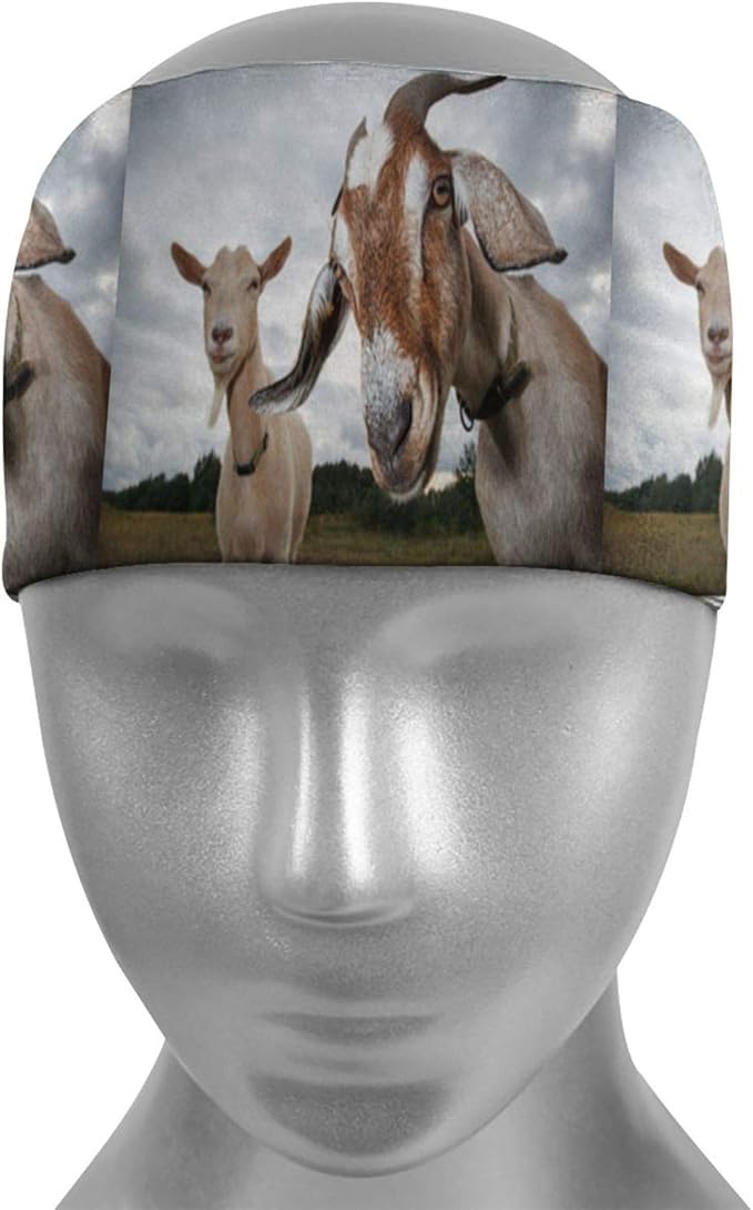 Funny Goats Watching Cute Sheep Animal Workout Headbands