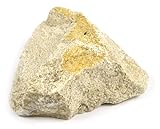 EISCO Oolitic Limestone Specimen