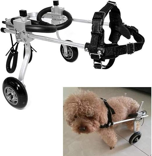 silla de ruedas para perros amazon