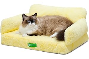 MEWOOFUN Cat Bed for Indoor Cats Orthopedic Dog Bed for Small Medium Dogs, Egg- Foam Pet Bed with Removable Washable Cover and Non-Slip Bottom (Medium, Yellow)