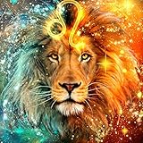 DIY 5D Diamond Painting Kits for Adults Full Drill Cross Stitch Arts Craft Supply for Home Wall Decor 30x40cm（Colorful Lion）