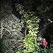 Worlds Brightest Spotlight - 4000 Lumen High Power LED Rechargeable Spotlight - Portable and Easy to Carry.