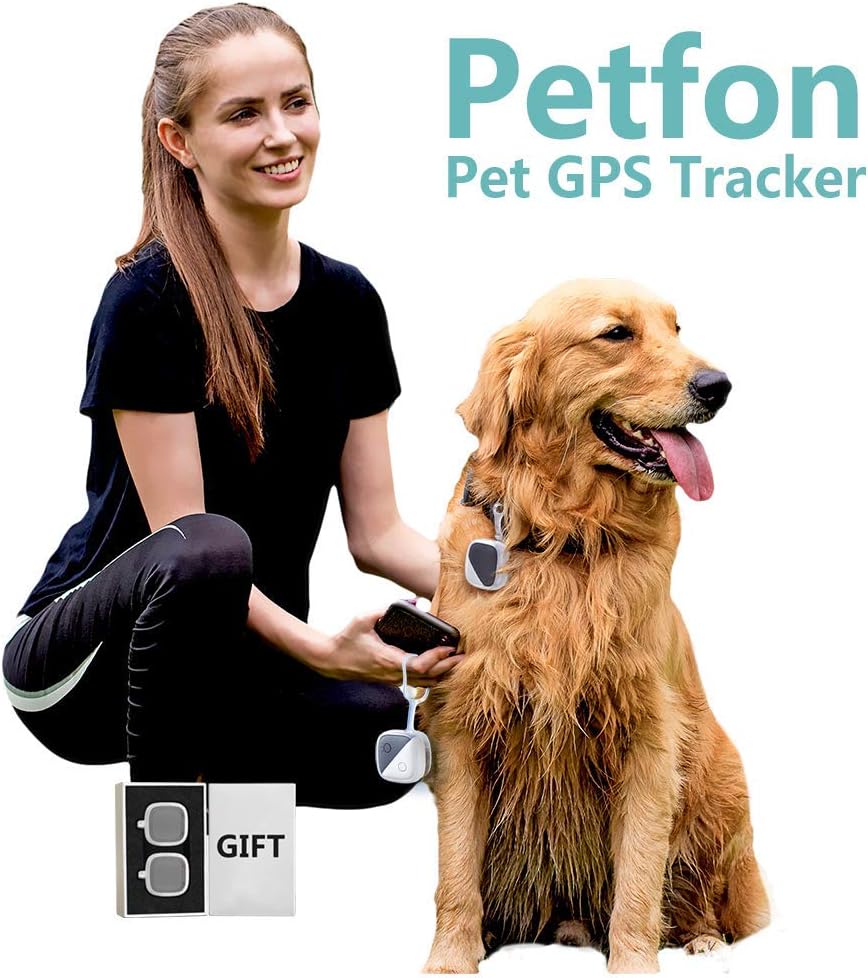 Petfon pet gps tracker Clearance