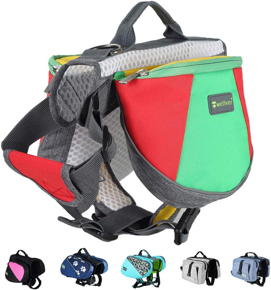 small walking backpack