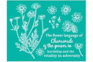 JAJADO Wildflower Silk Screen Stencils Reusable Self Adhesive Stencils 8.5x11 inch, Flower Screen Print Stencils Floral Plants Wild Flower Stencils for Crafts Wood Wall Canvas Fabric Paper DIY Furniture