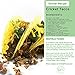 Cricket Flours: Pure Cricket Powder 3.5 oz (Made from Real Edible Insects in Portland, OR) Great High Protein Option for Shakes, Baking, & Recipes