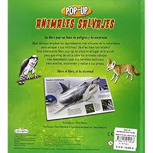 ANIMALES SALVAJES POP UP - LIBRO DIVO