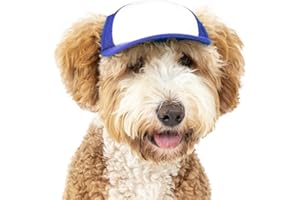 DIY PupLid Trucker Hats (Blue/White, Small) – Customizable Dog Hat, Blank Canvas for Personalized Design, Adjustable, Premium Stylish Sun Protection