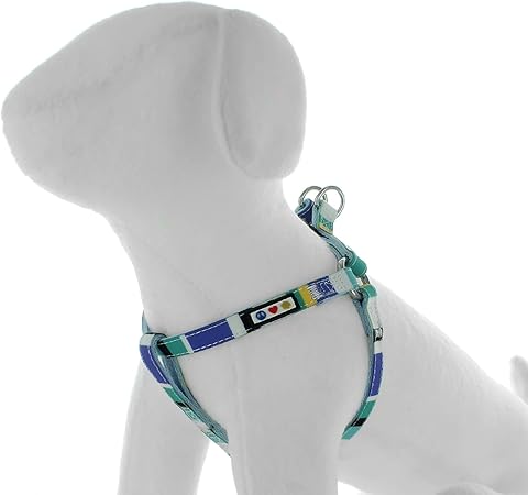 grey puppy harness