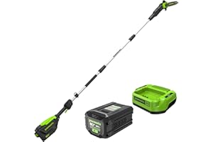 Greenworks 80V 10" Brushless Cordless Polesaw (Great For Pruning and Trimming Branches / 75+ Compatible Tools), 2.0Ah Battery and Charger