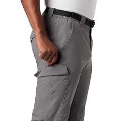 Columbia Men's Silver Ridge Cargo Pant, City