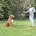Dog Training Collar, Upgraded Sokos LED Backlight Rechargable 330YD Remote Dog Training Shock Collar, Beep Vibration Electronic Electric Collar (Blue)