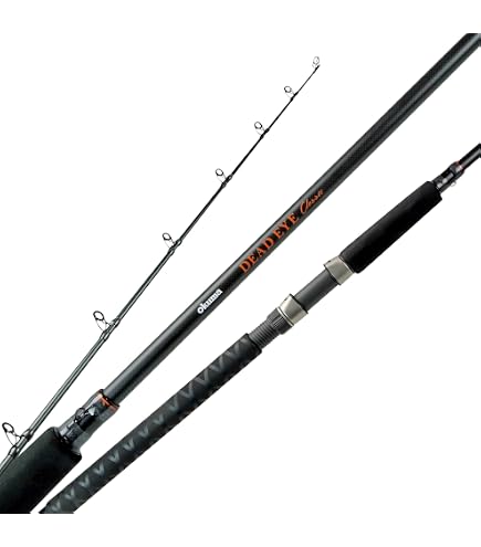 Dead Eye Classic Technique Specific Walleye Trolling and Jigging Rods, DEC-C-7101M-Ta : Sports & Outdoors