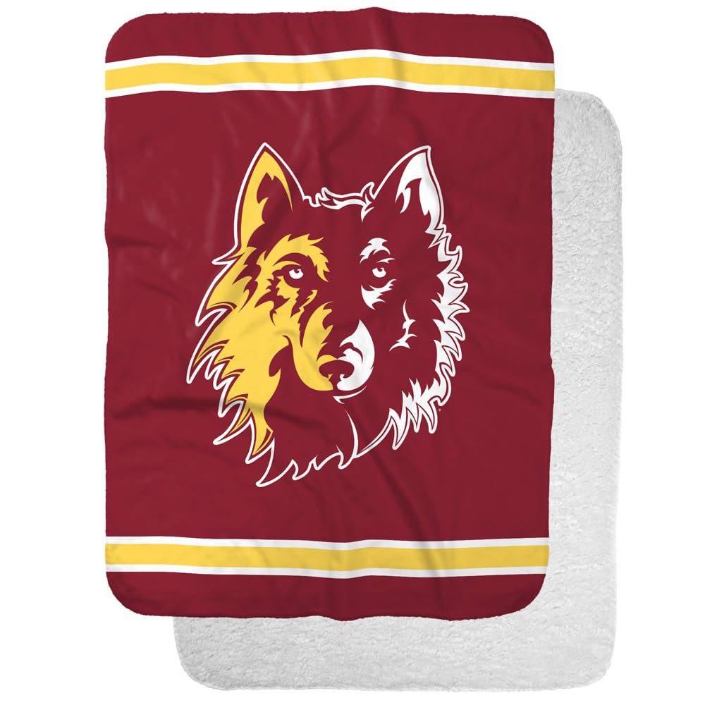 Northern State University Primary Logo Stripes