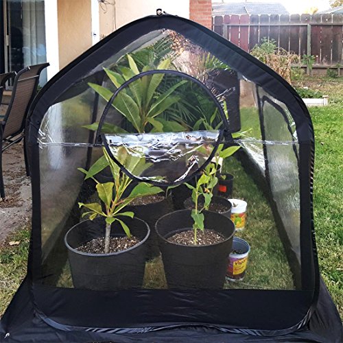 Quictent Mini Portable Greenhouse 98 x 49 x 53 Inches Pop up Grow House