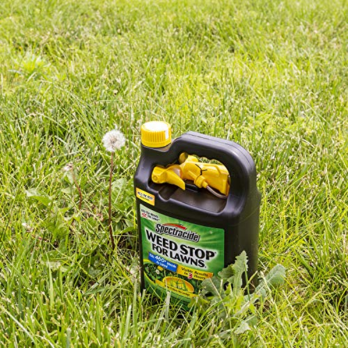 Spectracide Lawn Weed Killer - Image 6
