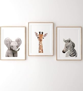 framed animal prints for nursery