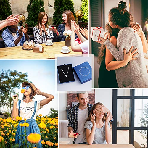 Women Crystal Pendant Necklace with Rose Gold Silver Chain Cubic Zircon Necklace for Sisters,Mom,Gift Box