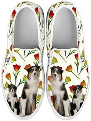 australian shepherd shoes