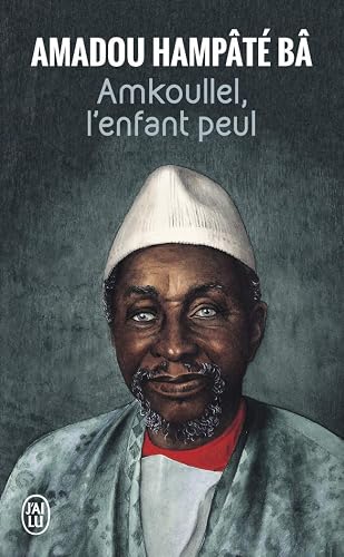 Download Amkoullel, l'enfant Peul PDF