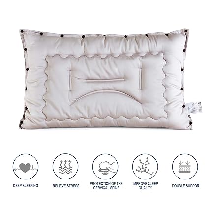 Lavisun Spring Bed Pillow For Sleeping Pure Silk Fabric Cover With