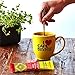 Cafe Bustelo Instant Beverage Mix Sticks, Cafe Con Leche, 5 Count (Pack of 12)
