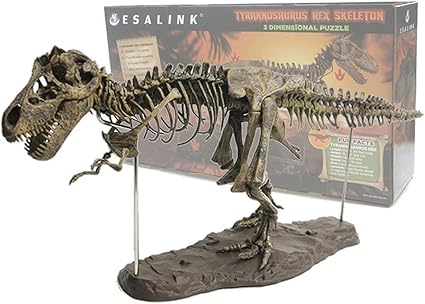 4d T Rex Squelette De Dinosaure 28 Montage Tyrannosaure Squelette Replique Dinosaure Os Fossile Decoration De Bureau Amazon Fr Sports Et Loisirs