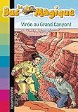 Image de Le Bus Magique, Tome 20 (French Edition)