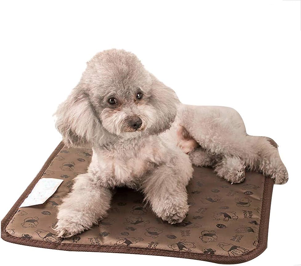 pet electric blanket