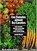 Les Tomates aiment les carottes by 