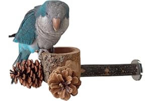 Bird Perches for Cage - Wooden Food Bowl Pet Toy - Parakeet Foraging Perch Bird Toy,for Feeding Training Playing Chewing Enri