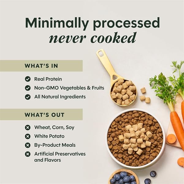 INSTINCT RAWBOOST MIXERS, FREEZE DRIED DOG FOOD TOPPER, GRAIN-FREE – CAGE FREE CHICKEN, 6 OZ. BAG