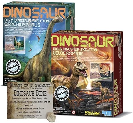 Dig a Dinosaur Excavation Dino Kit Brachiosaurus and Velociraptor Dinosaurs - 2 Pack Includes Authentic Dinosaur Bone!