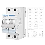 MOLLOM DC 2 Pole Miniature Circuit Breaker,400V