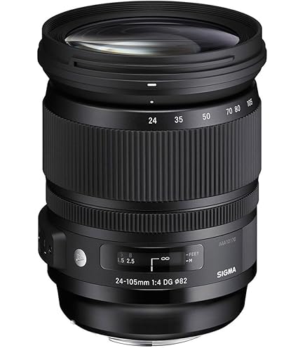 Amazon.com : Sigma 24-70mm f/2.8 DG OS HSM Art Lens for Nikon F