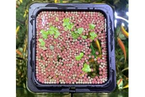 Square Magnetic Fish Feeding Ring for Fish Tank Aquarium Feeder Rings