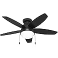Hunter Fan Company, 52613, 44 inch Lilliana Matte Black Low Profile Ceiling Fan with LED Light Kit and Pull Chain