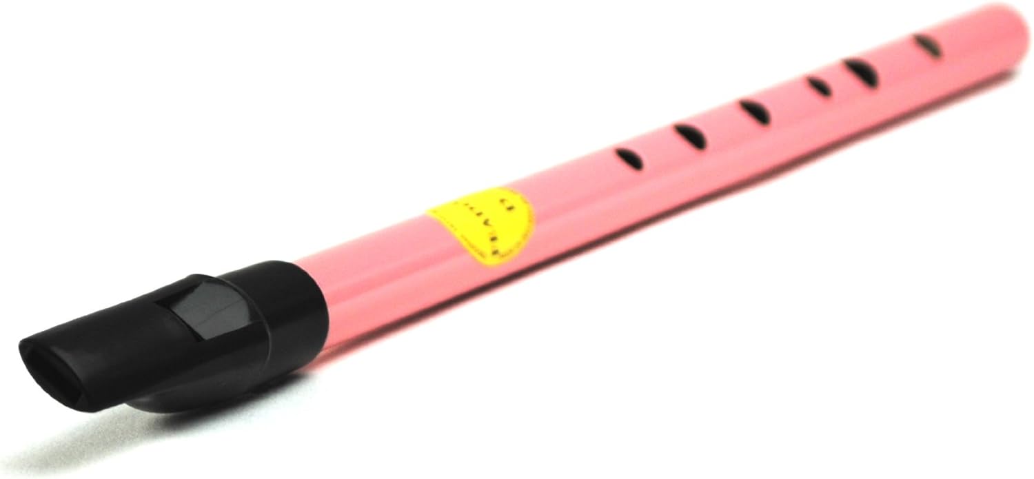 Feadog Irish Penny Whistle Key of D (Pink) Amazon.de Musikinstrumente