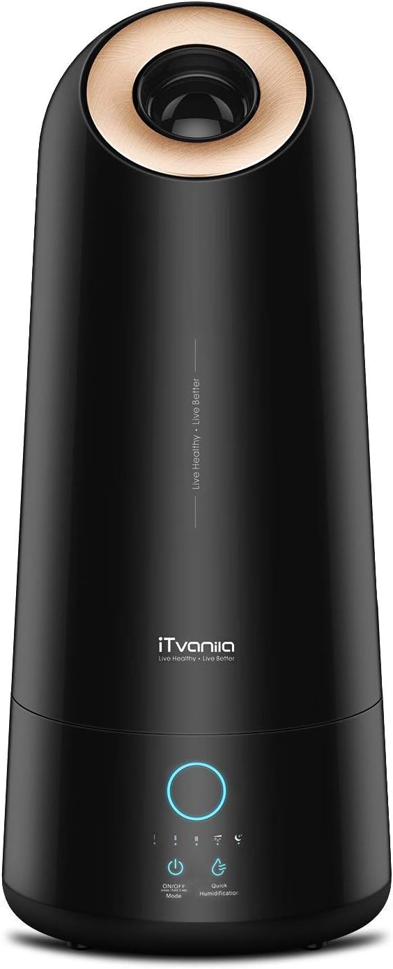 Best service master carpet cleaner