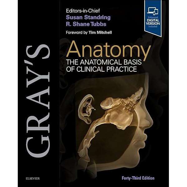 【新品未開封・コード未使用】Gray’s Anatomy42nd Edition Gray's Anatomy: The Anatomical Basis of Clinical Practice